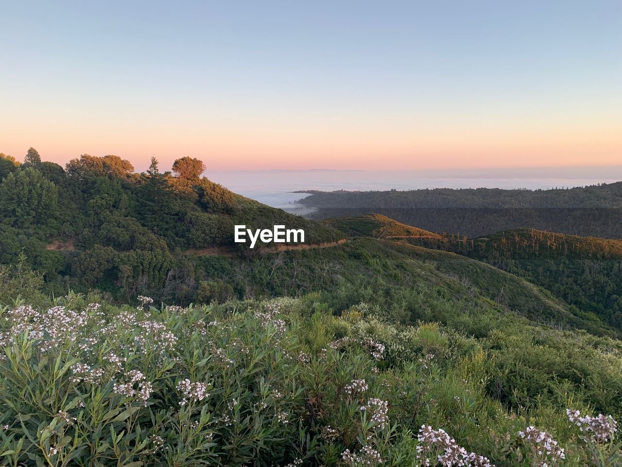 Scenic view of landscape against sky during sunset