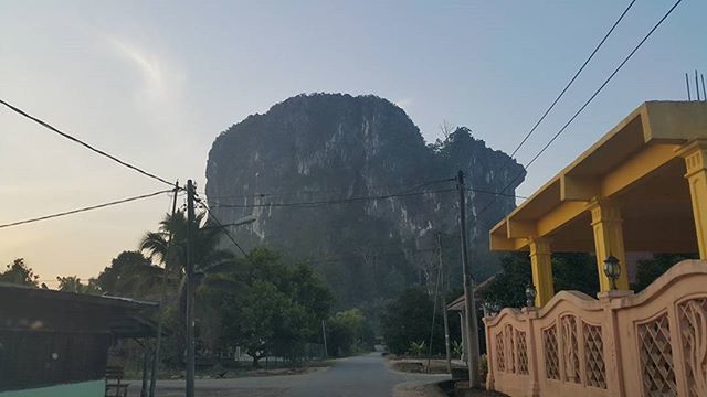 VIEW OF ROAD ALONG TREES