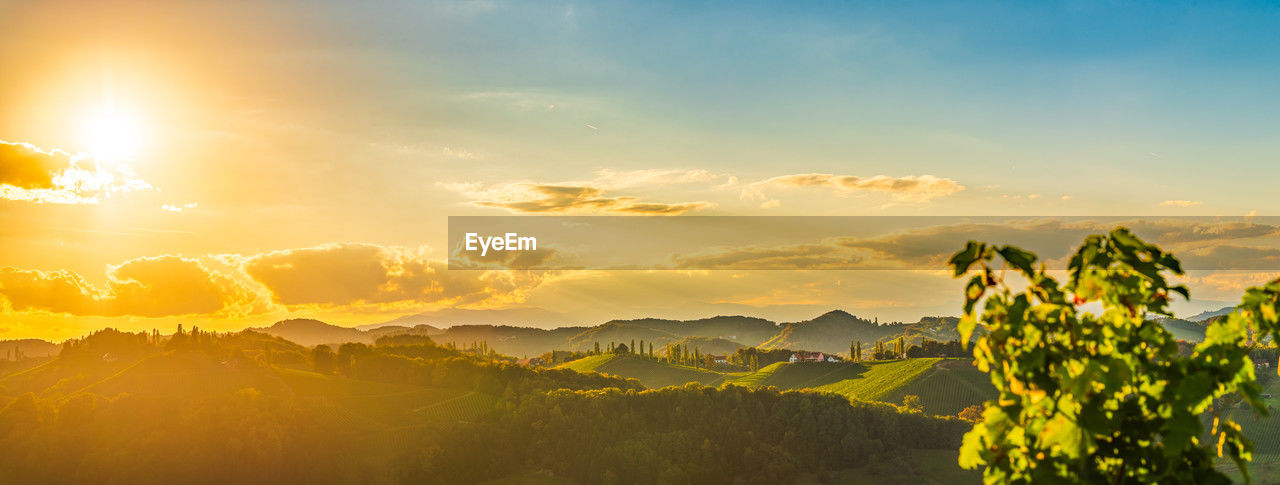 sky, environment, landscape, sunlight, scenics - nature, sunset, beauty in nature, sun, nature, cloud, mountain, land, sunbeam, plant, tree, rural scene, horizon, yellow, fog, travel, panoramic, mountain range, tranquility, forest, twilight, outdoors, summer, tranquil scene, no people, idyllic, dramatic sky, field, dawn, travel destinations, cloudscape, valley, mountain peak, non-urban scene, vibrant color, back lit, tourism, social issues, blue, horizon over land, environmental conservation, backgrounds, freshness, lens flare, light - natural phenomenon, urban skyline, leaf, multi colored, gold, plant part, flower, agriculture