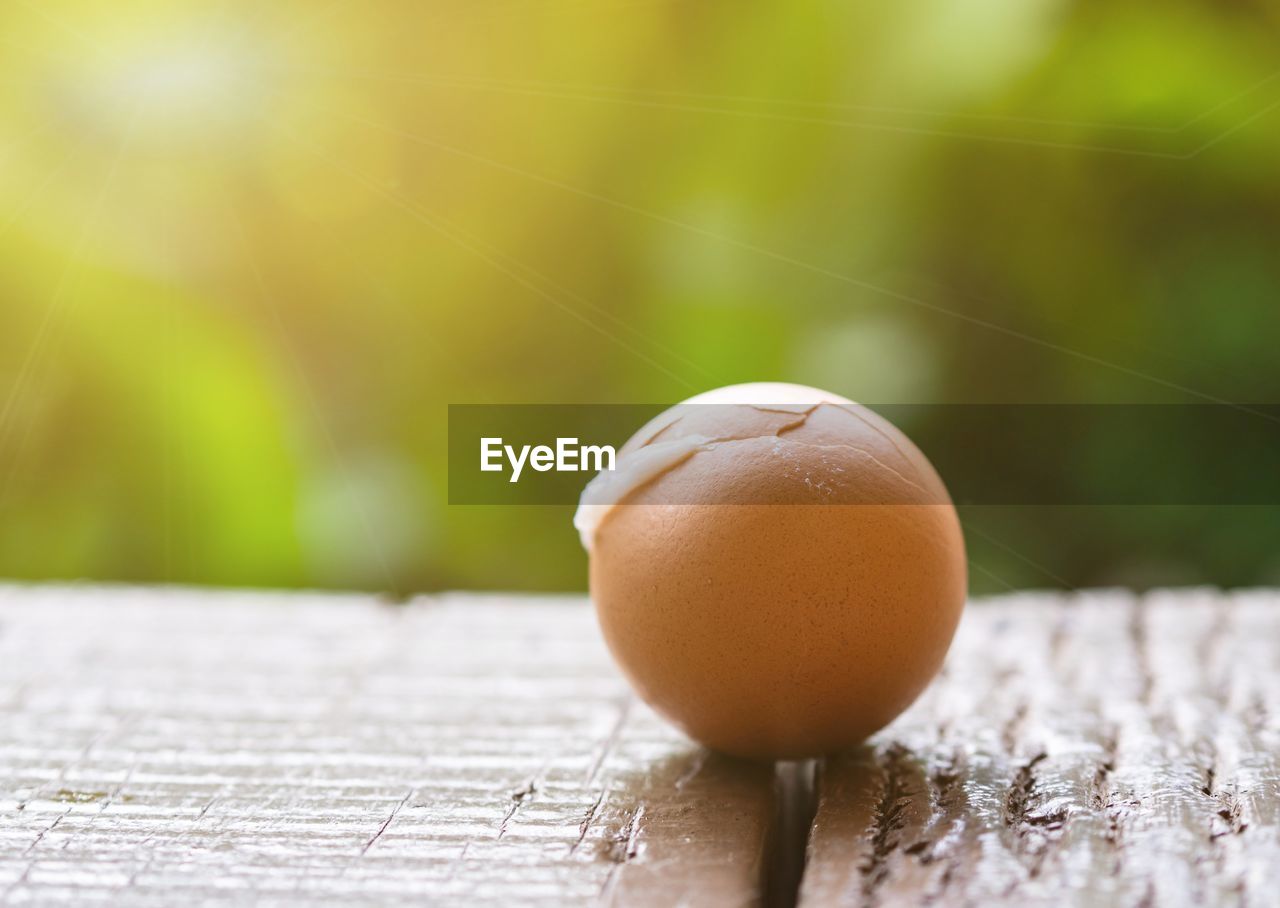 Close-up of egg on table