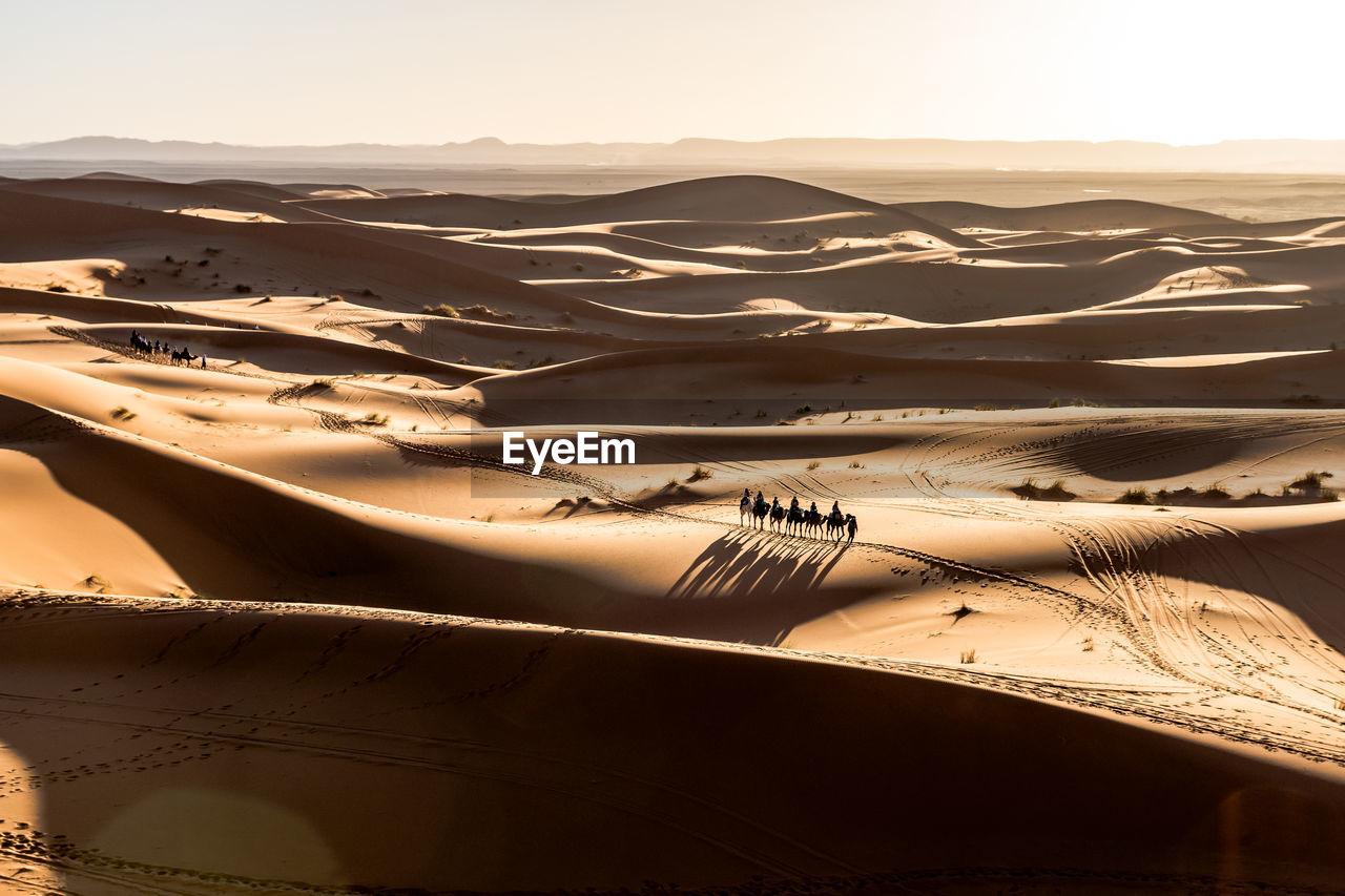 People riding camels on desert against sky
