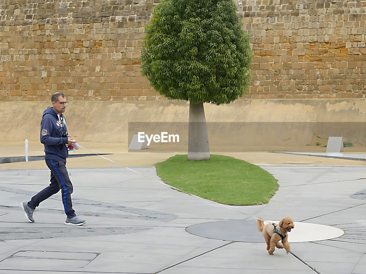 dog, full length, men, one person, adult, architecture, plant, day, tree, one animal, lifestyles, nature, wall, canine, leisure activity, footpath, casual clothing, built structure, walking, city, person, street, pet, road, side view, outdoors, domestic animals, sports, motion, building exterior