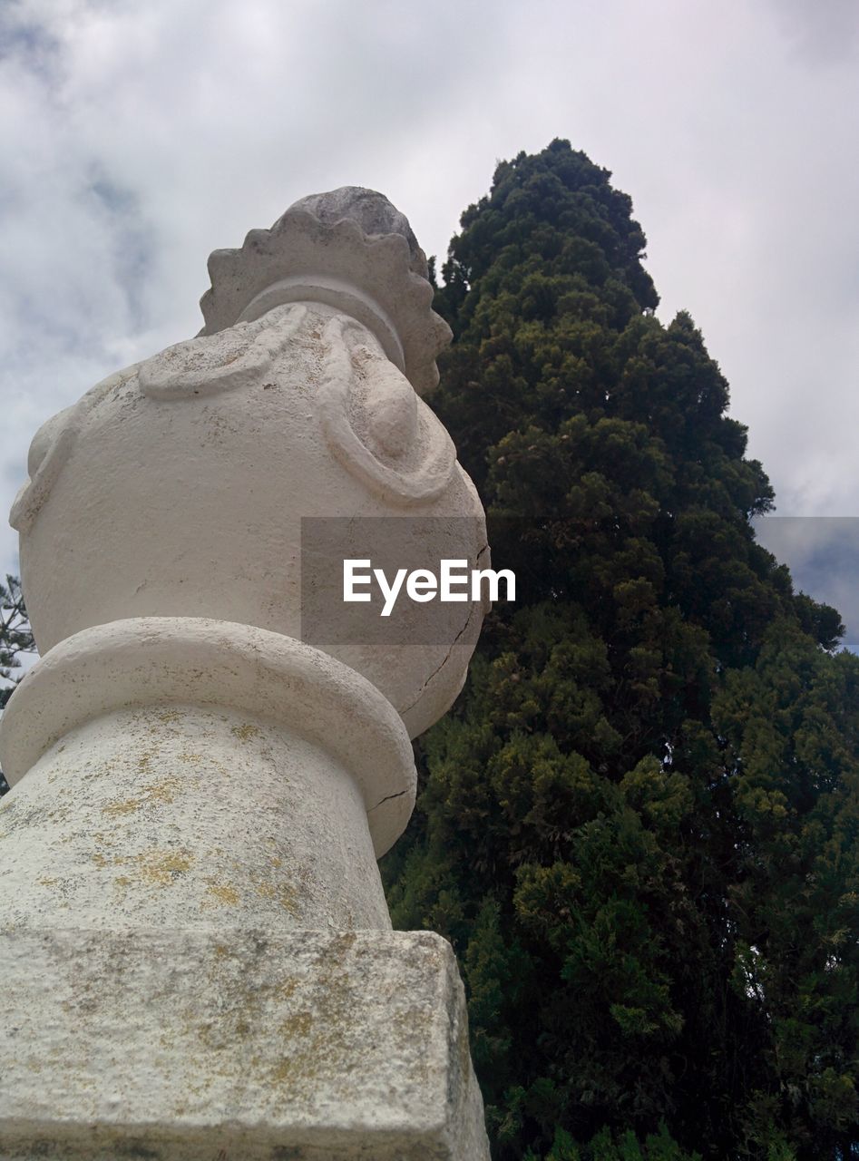 LOW ANGLE VIEW OF STATUE AGAINST TREE