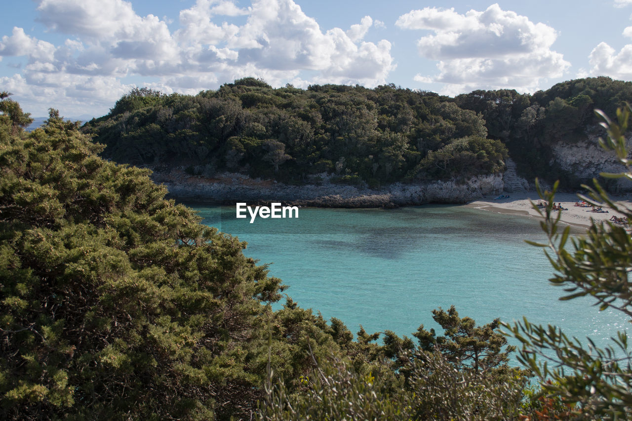 Beach balistra - piantarella - sperone