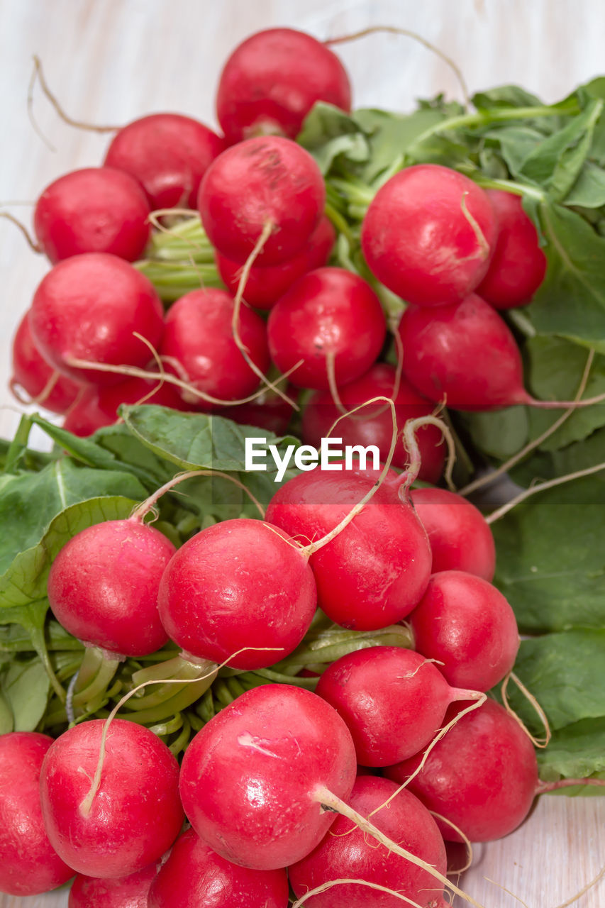 Links of fresh red organic radishes, raphanus raphanistrum subsp. sativus 