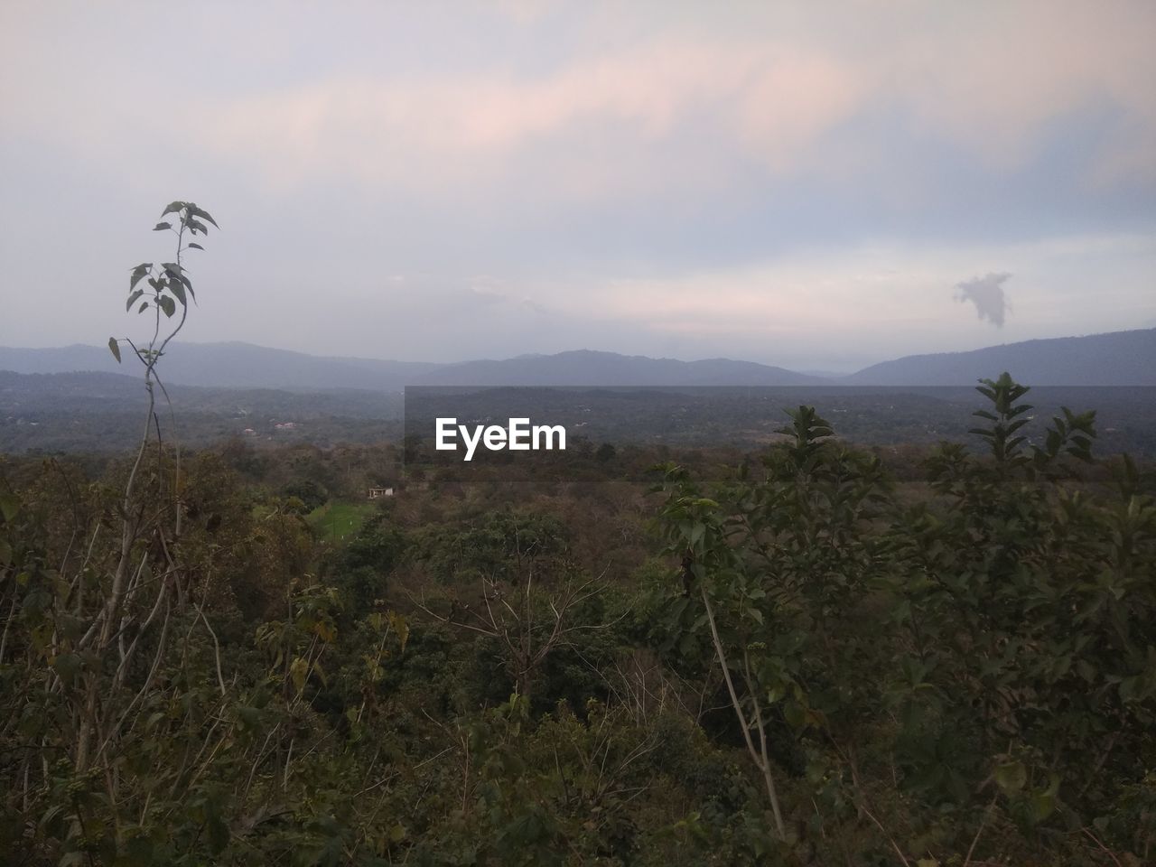 SCENIC VIEW OF LANDSCAPE AND MOUNTAINS AGAINST SKY