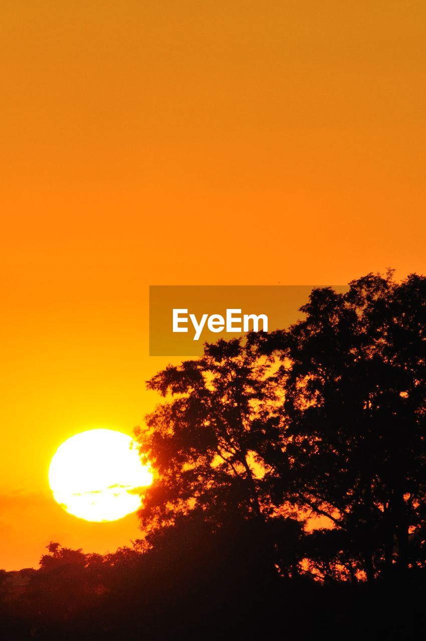 Silhouette tree against orange sky