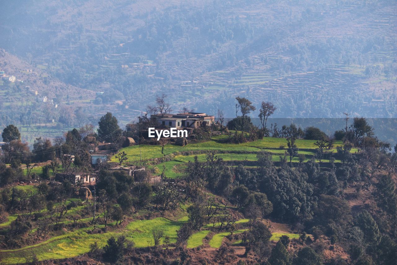 Scenic view of agricultural field