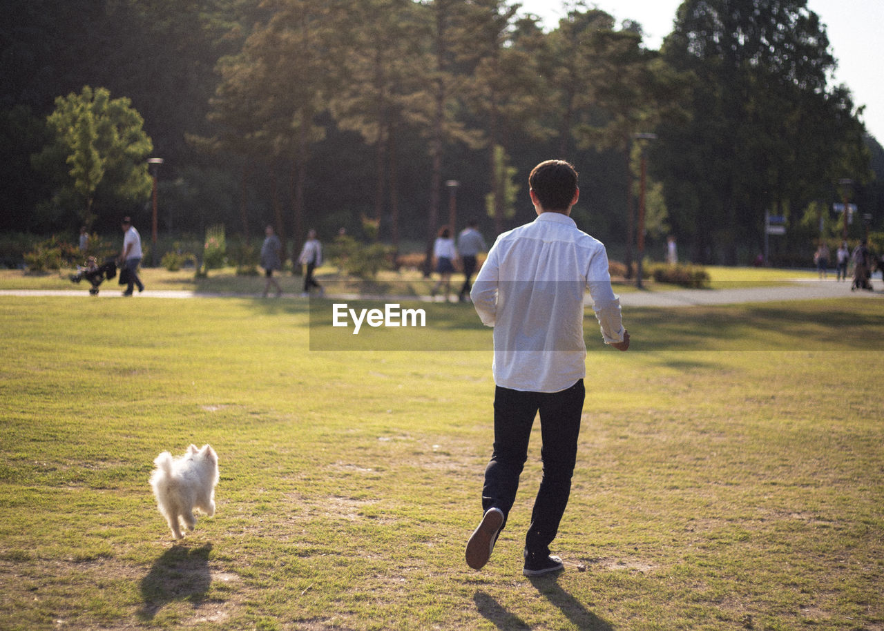 Rear view of man with dog on field