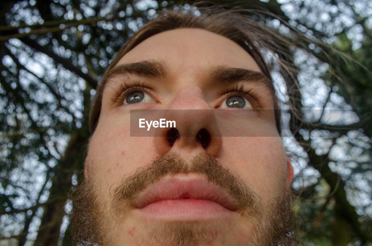 Close-up of bearded man against tree