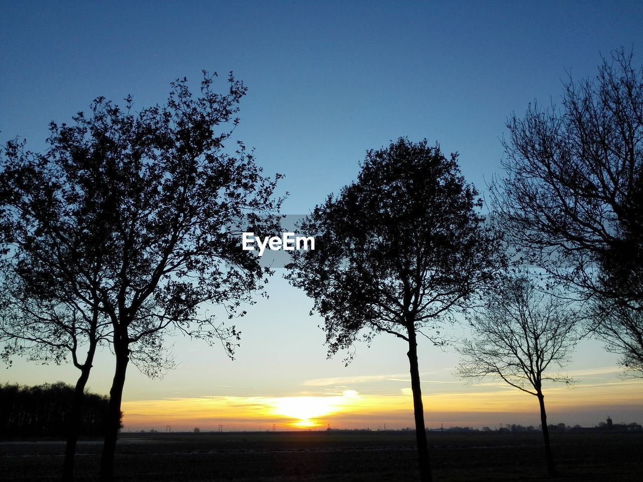 SILHOUETTE TREE AT BEACH AGAINST SKY DURING SUNSET