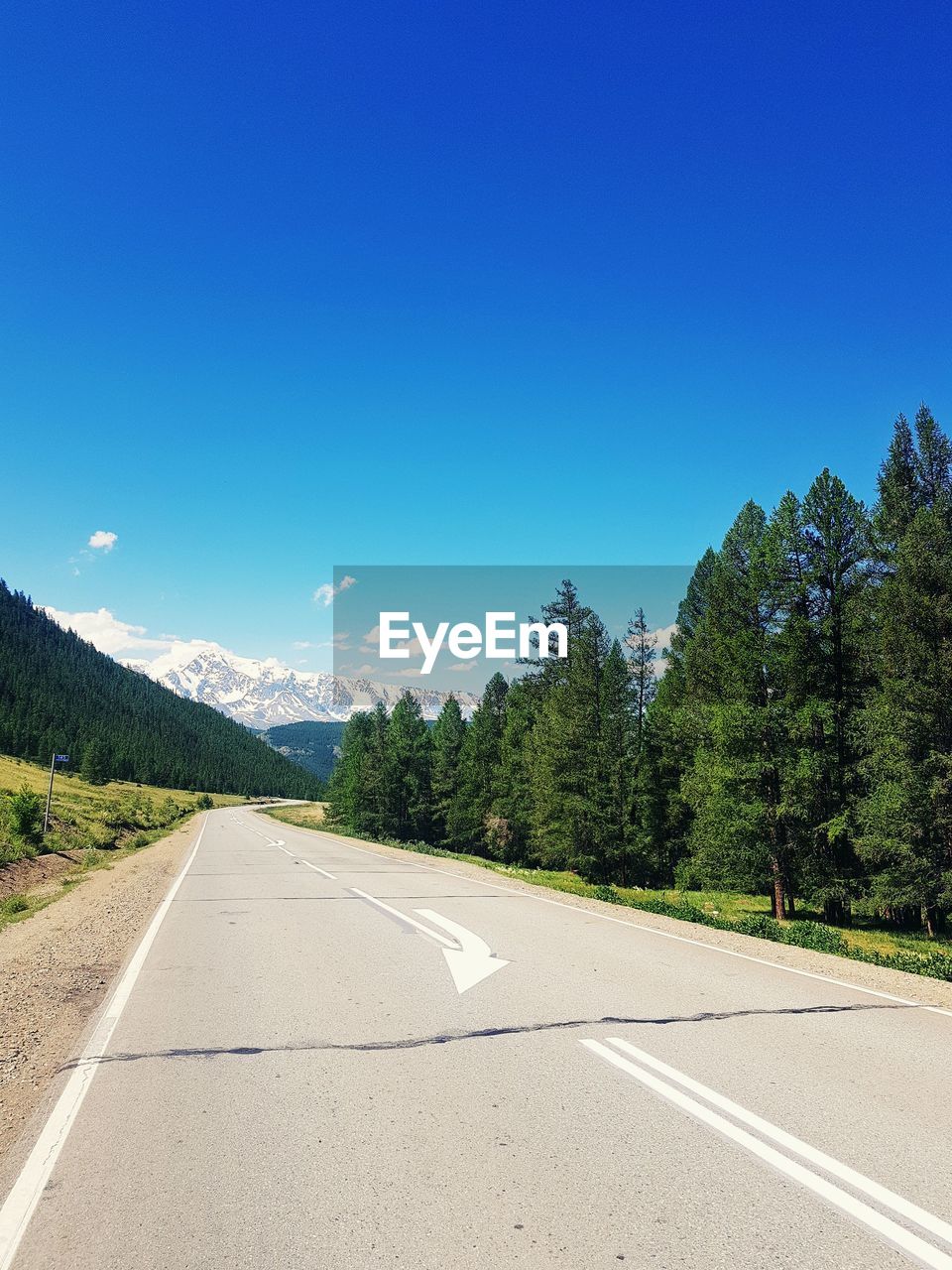 EMPTY ROAD ALONG TREES AND BLUE SKY