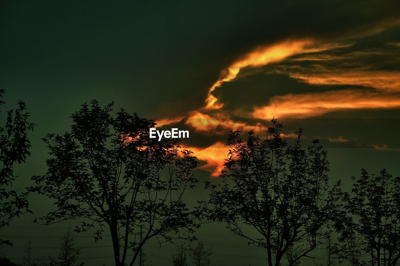 Silhouette trees against cloudy sky at sunset