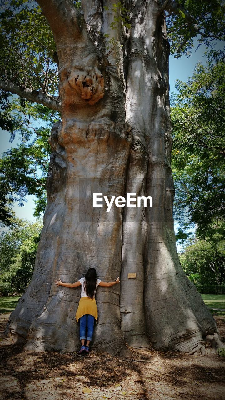 Woman hugging old tree