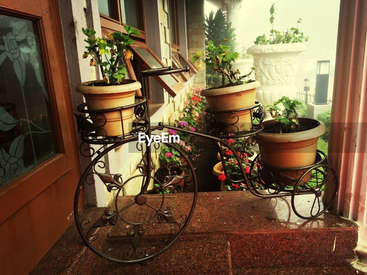 Potted plants in artificial bicycle baskets outside house