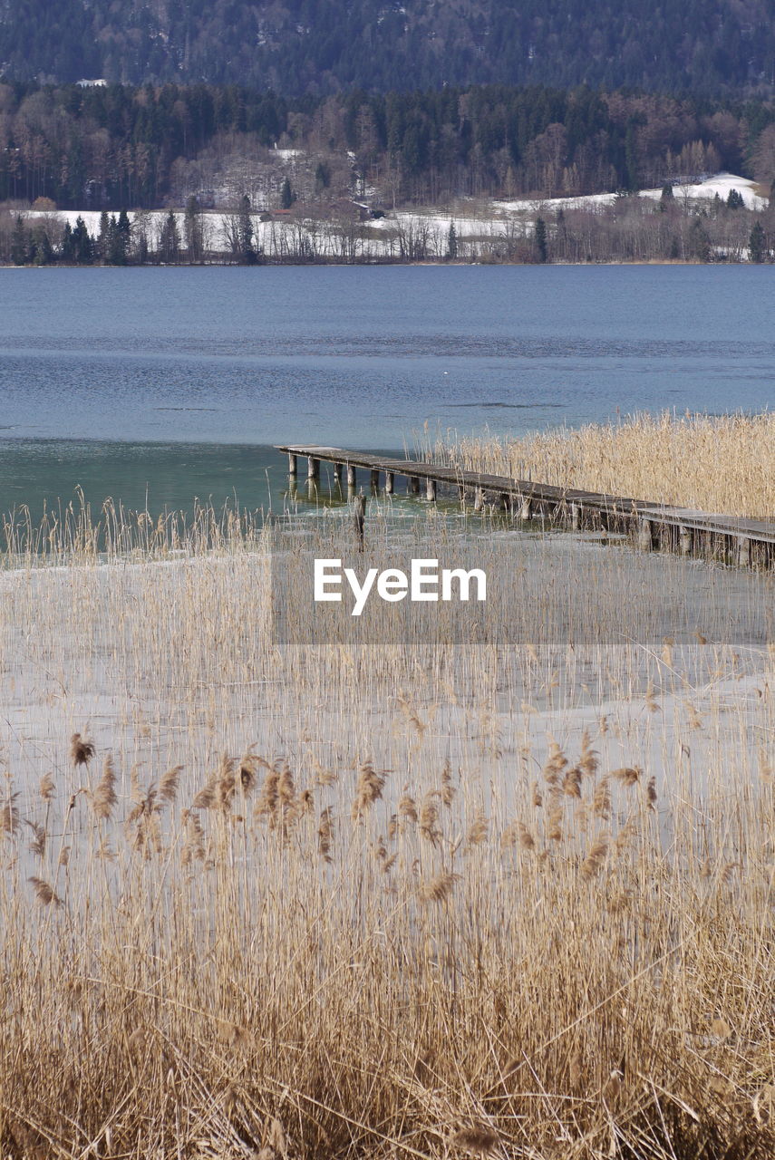 SCENIC VIEW OF LAKE AGAINST TREES