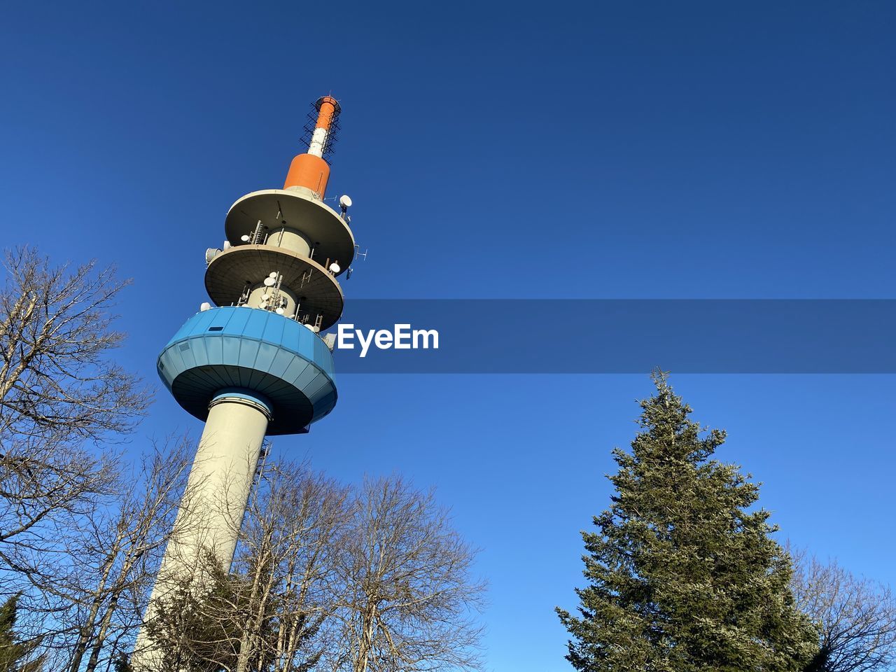 sky, tree, blue, clear sky, tower, low angle view, plant, nature, architecture, no people, built structure, communications tower, day, communication, street light, travel destinations, outdoors, sunny, building exterior, travel