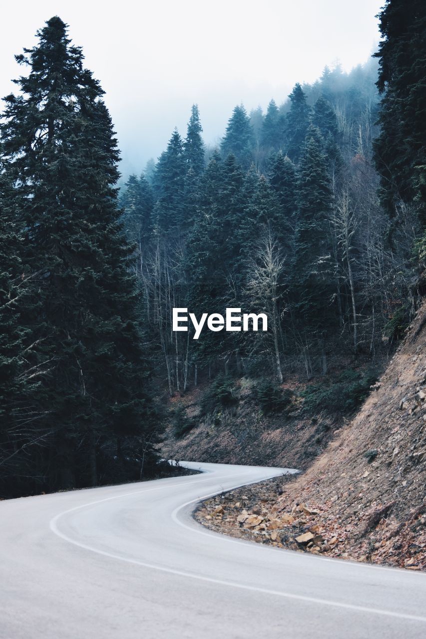 Road amidst trees in forest during winter