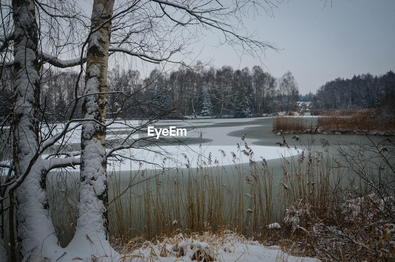 Scenic view of snow covered field