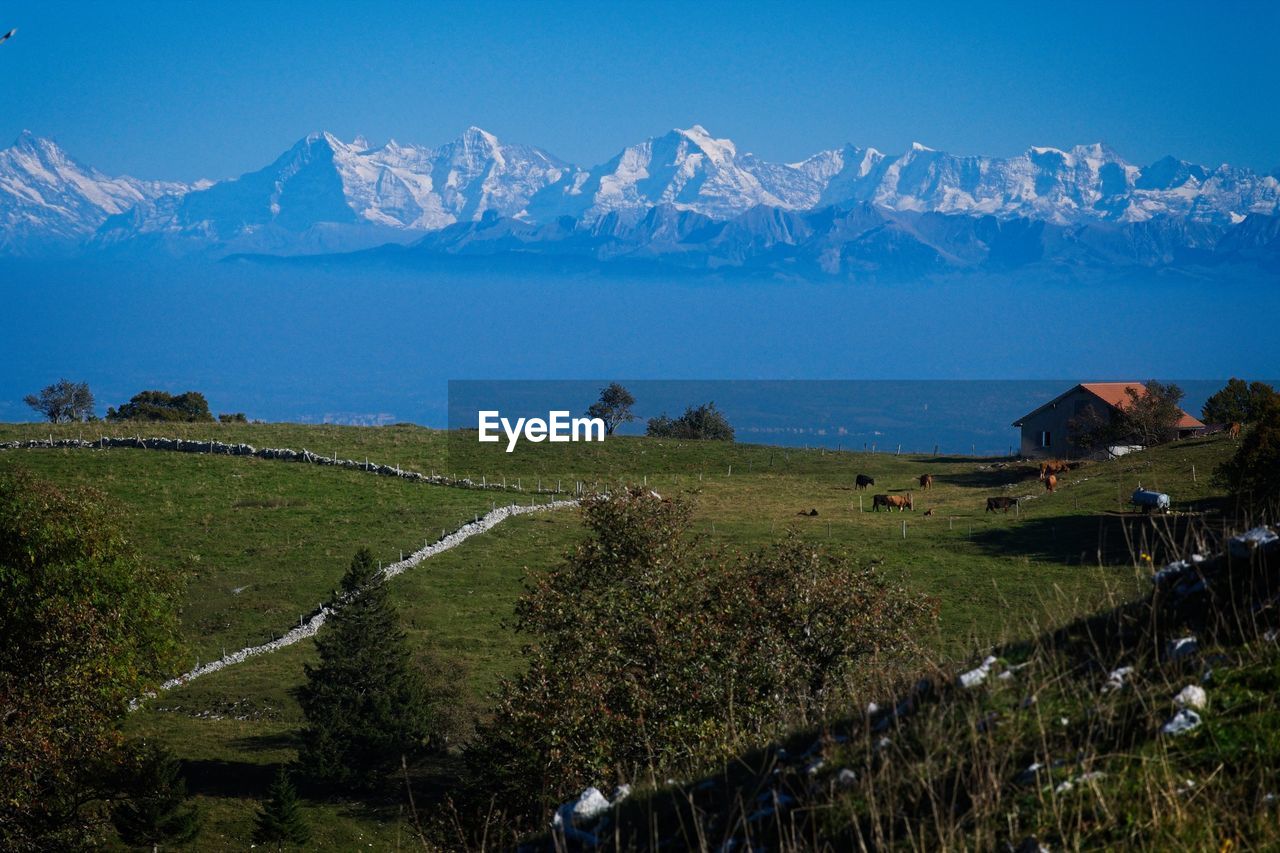 Scenic view of snowcapped mountains against blue sky