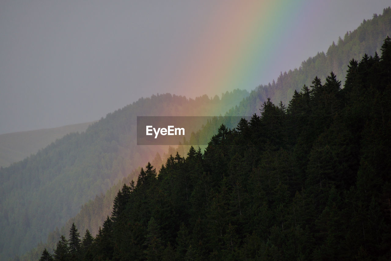 Scenic view of rainbow over forest against sky