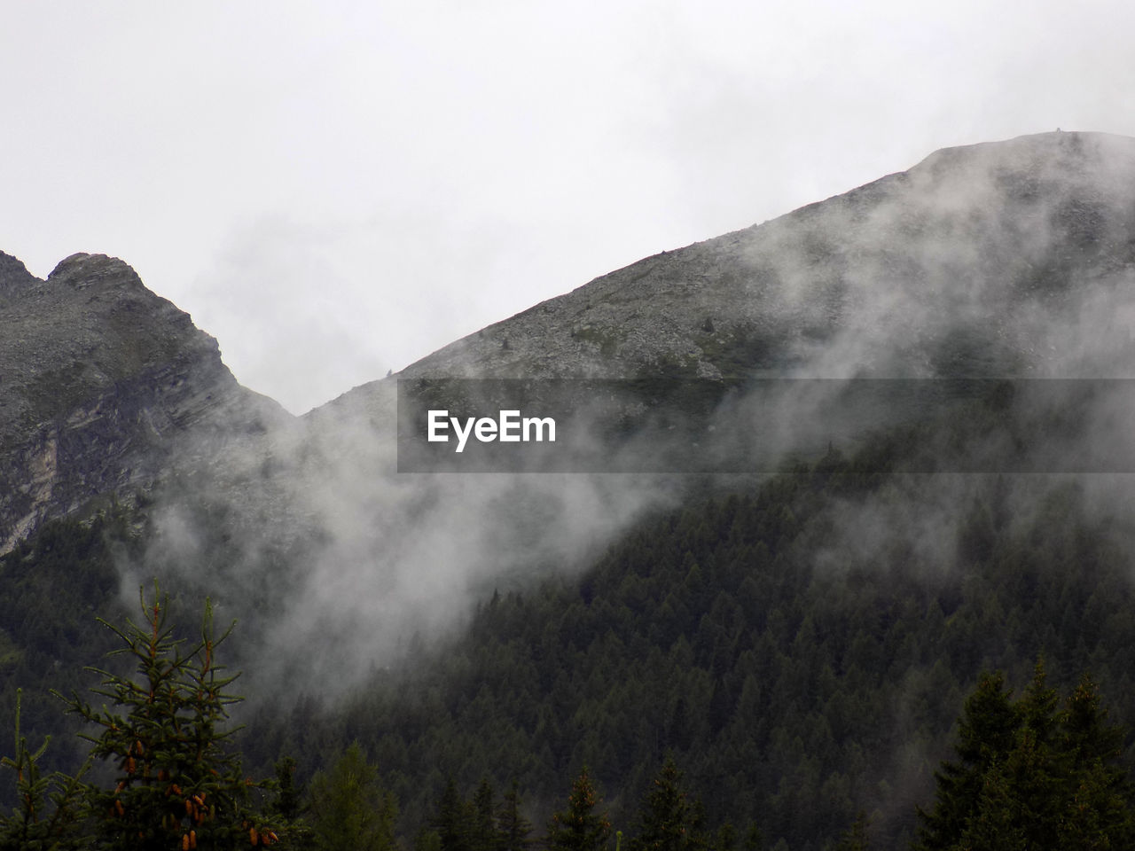 SCENIC VIEW OF MOUNTAINS IN FOREST