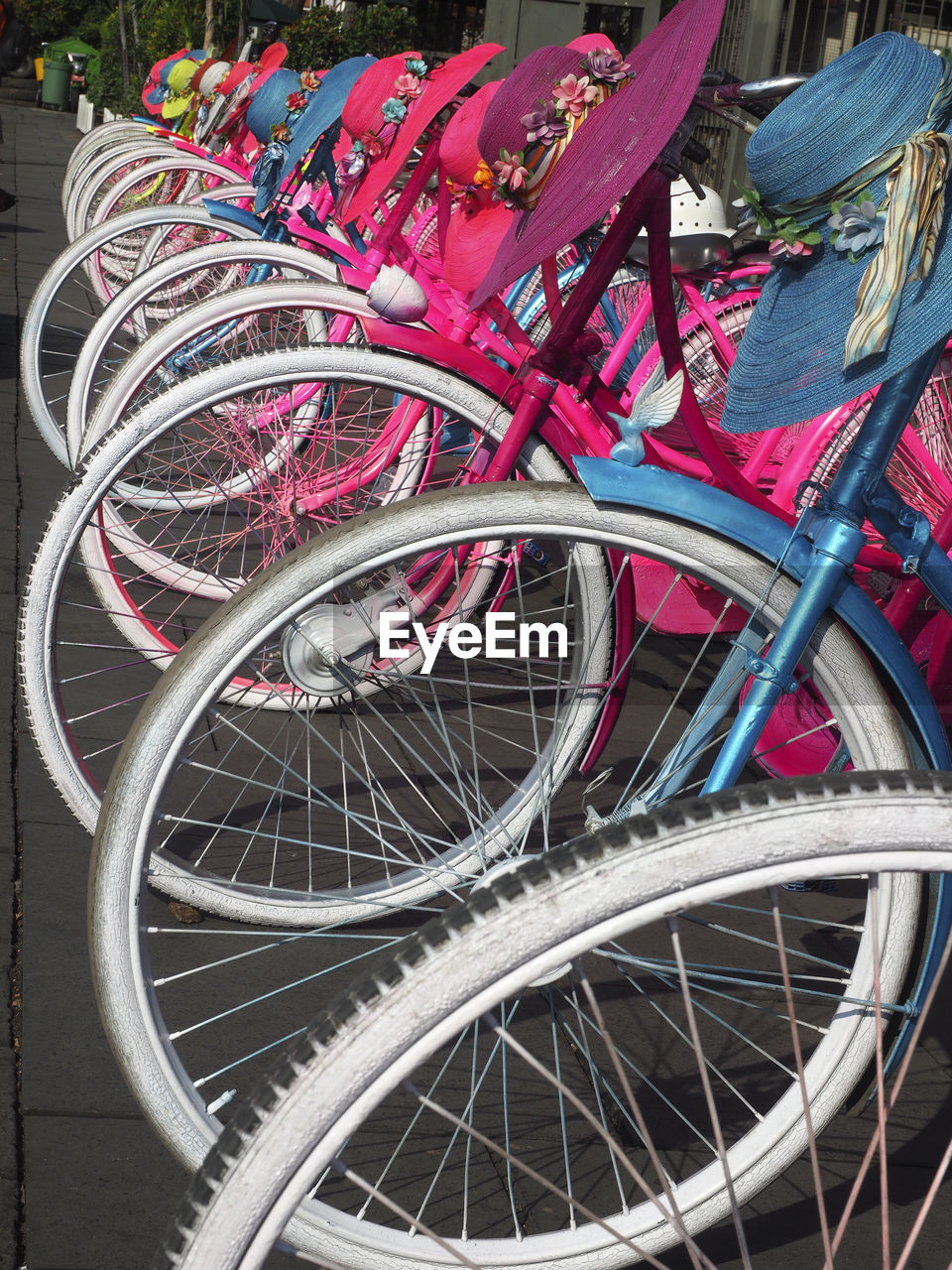 FULL FRAME SHOT OF BICYCLE WITH PINK PETALS ON STREET