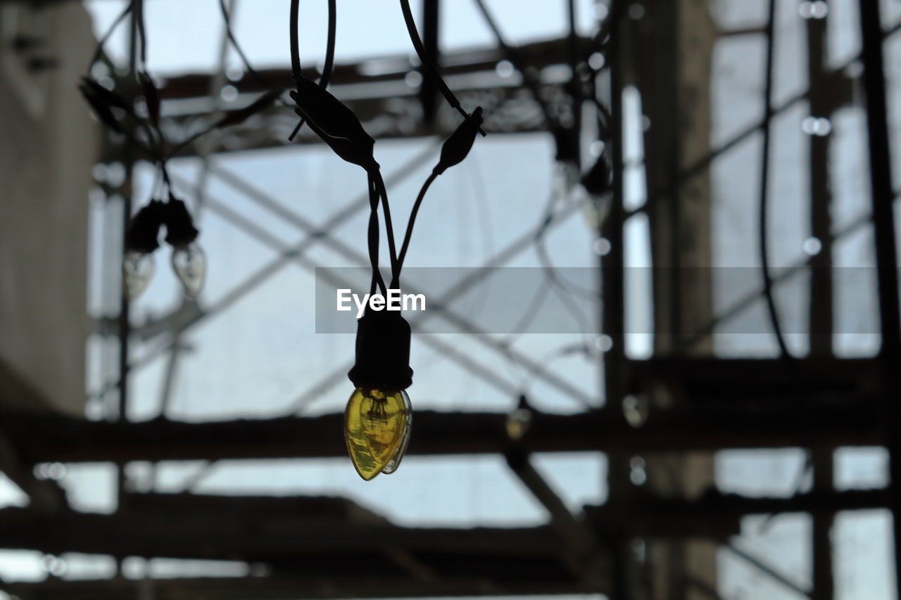 LOW ANGLE VIEW OF LIGHT BULBS HANGING ON CEILING