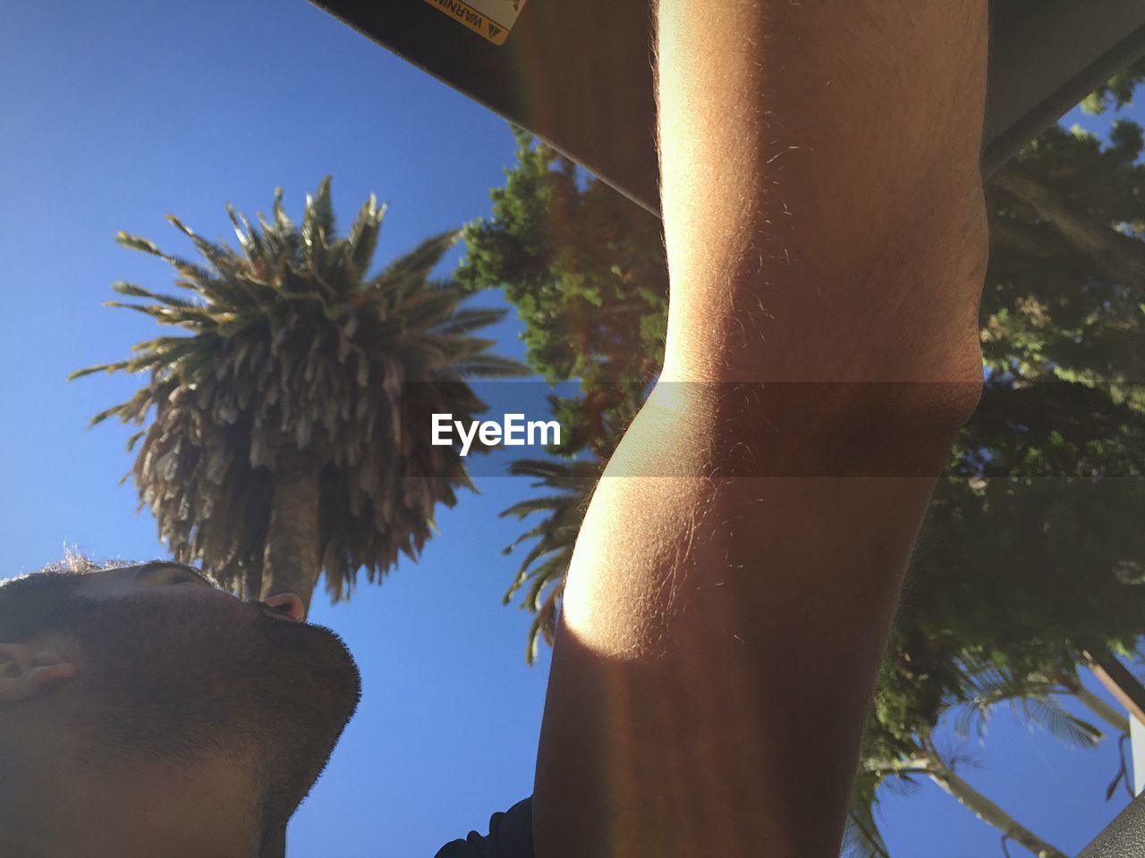 LOW ANGLE VIEW OF PALM TREE AGAINST BLUE SKY