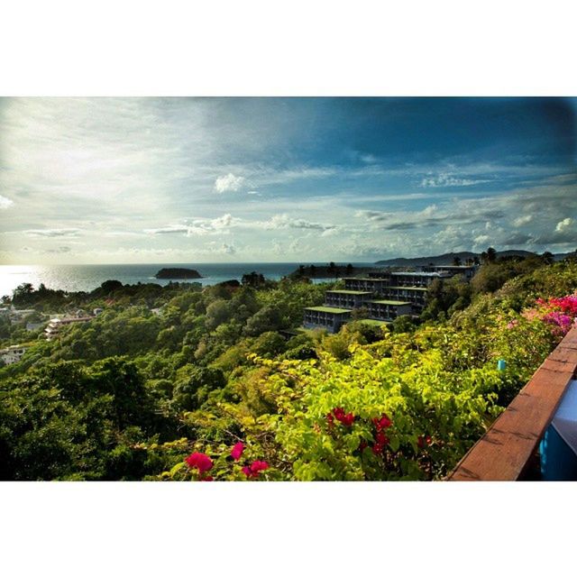 SCENIC VIEW OF SEA WITH TREES IN BACKGROUND