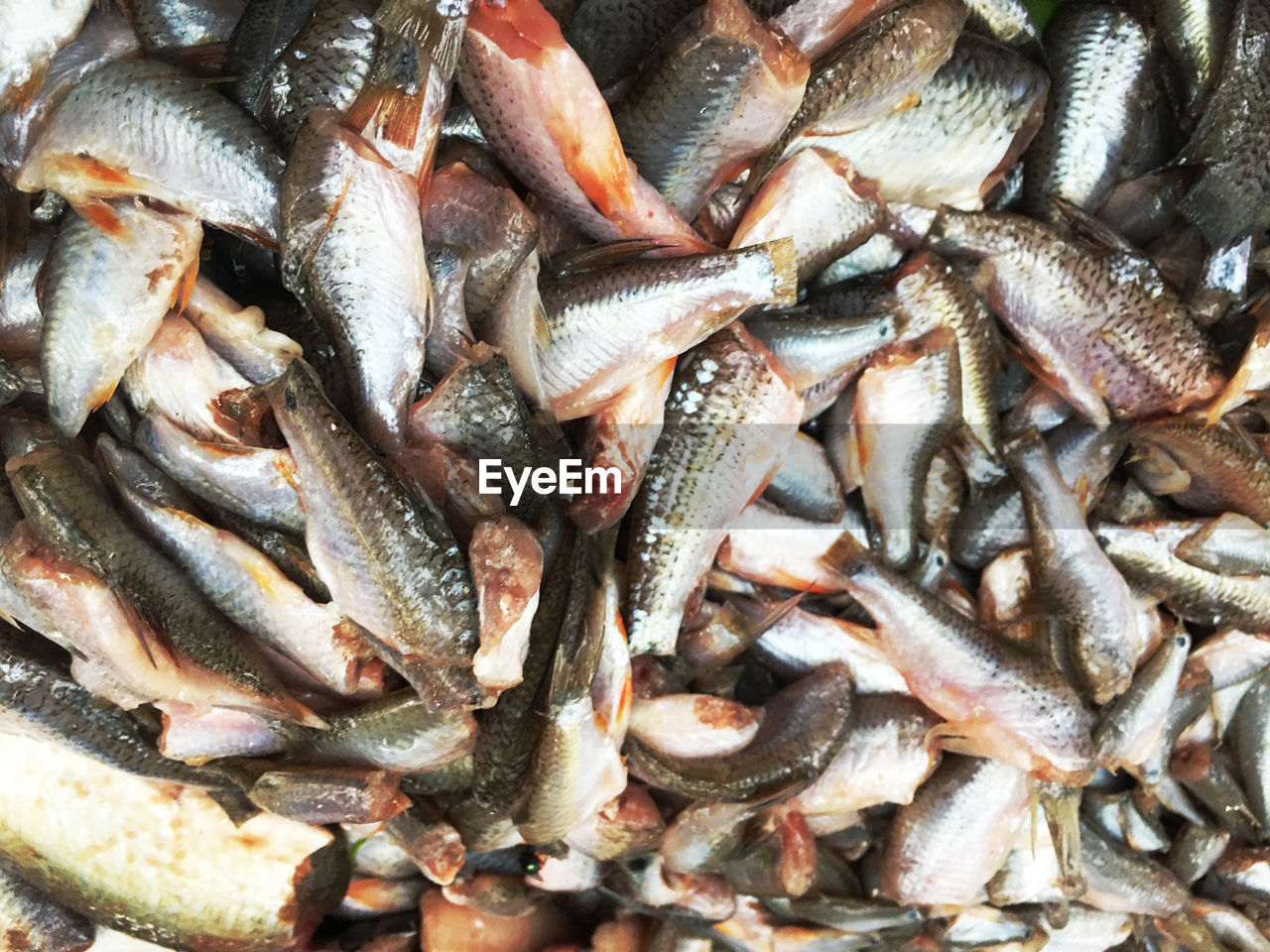 FULL FRAME SHOT OF FISH FOR SALE AT MARKET