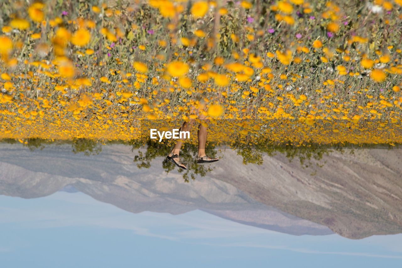 Upside down image of person amidst field against mountain