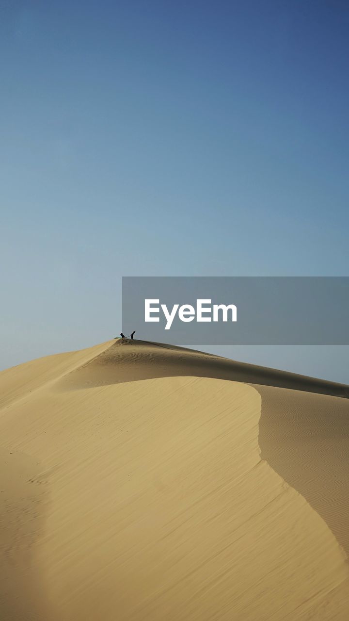 SCENIC VIEW OF SAND DUNE AGAINST CLEAR SKY