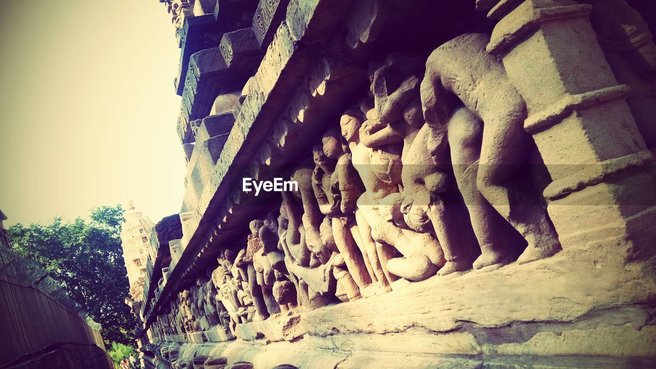 CLOSE-UP OF LEAF AGAINST SKY