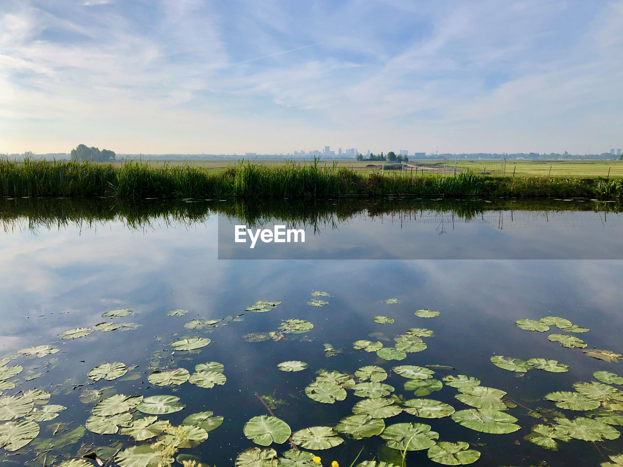 SCENIC VIEW OF LAKE AND PLANTS AGAINST SKY