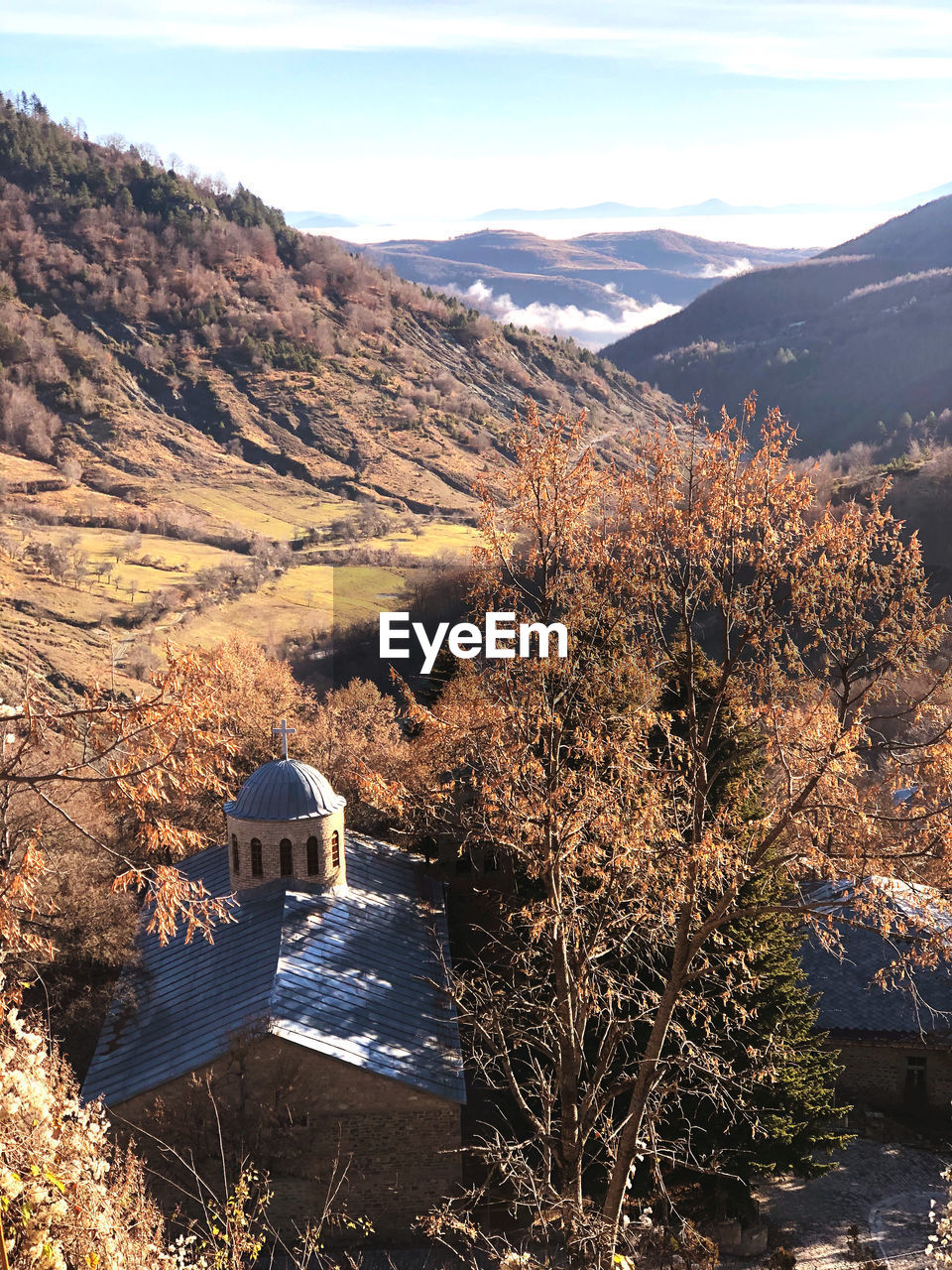 Aerial view of trees and buildings against sky