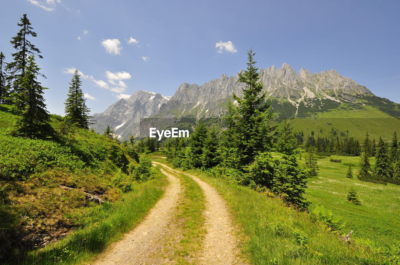 Road amidst plants and mountains against sky