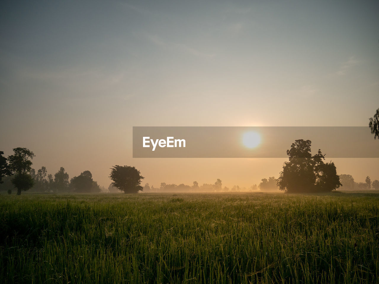 Scenic view of field against sky during sunset