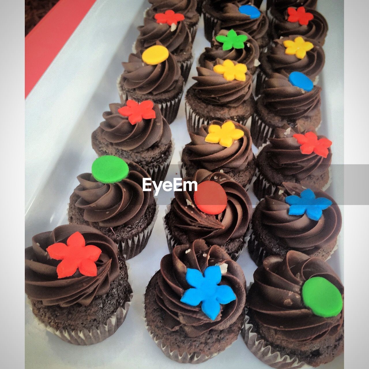 High angle view of chocolate cupcakes in tray