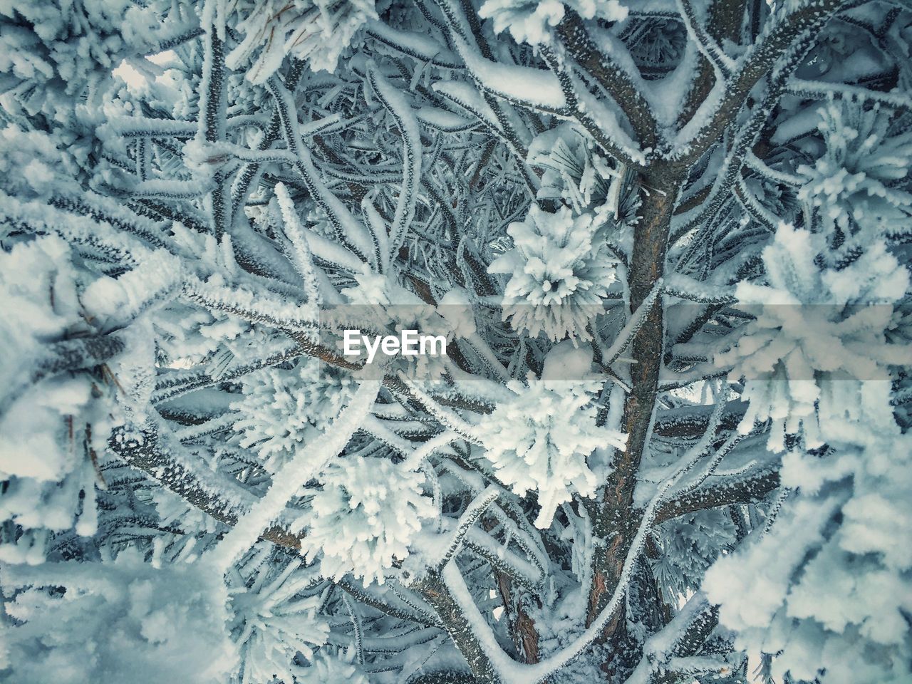 CLOSE UP OF SNOW COVERED WALL