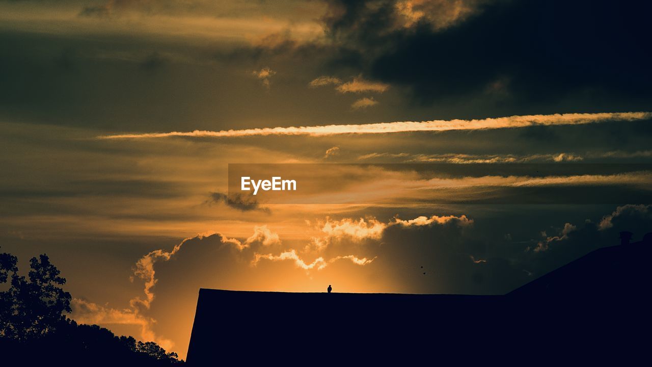 LOW ANGLE VIEW OF SILHOUETTE SKY DURING SUNSET