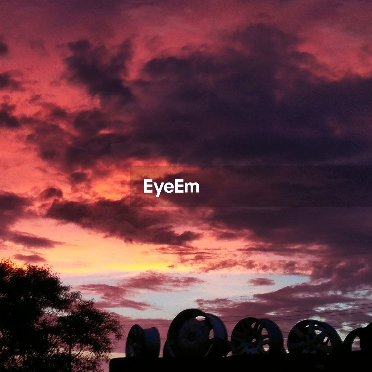 SILHOUETTE OF TREES AGAINST SKY DURING SUNSET