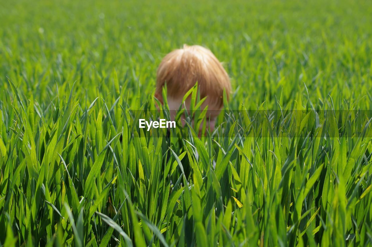 Child hiding in long grass
