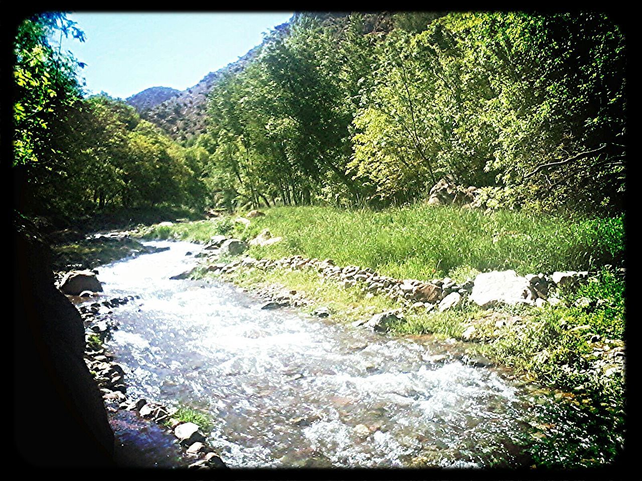 SCENIC VIEW OF RIVER WITH TREES IN BACKGROUND