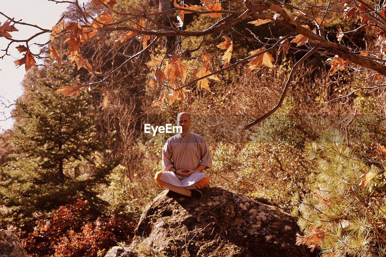 Man doing yoga on rock against trees in forest