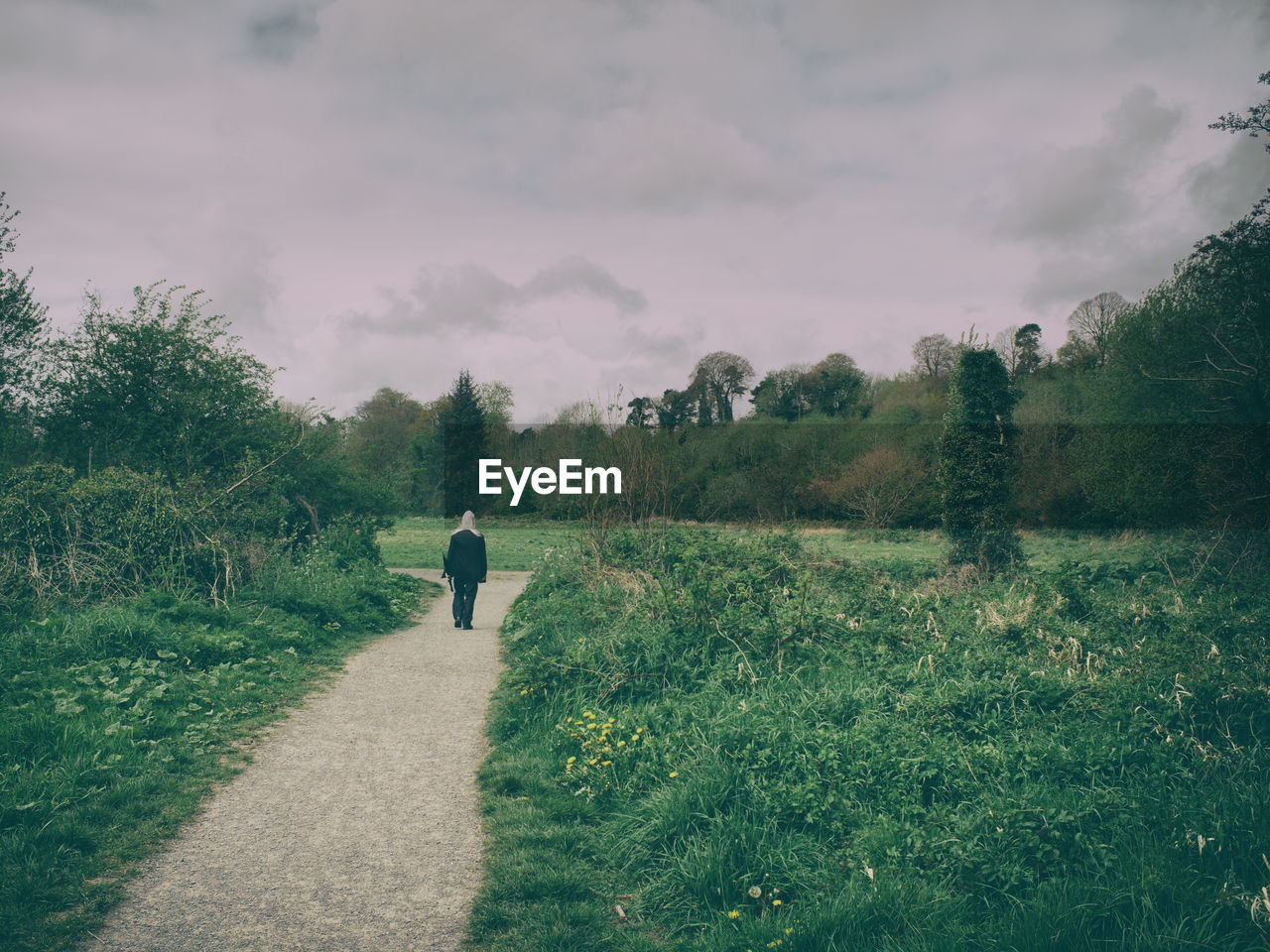 Rear view of man walking on road amidst grassy field against sky