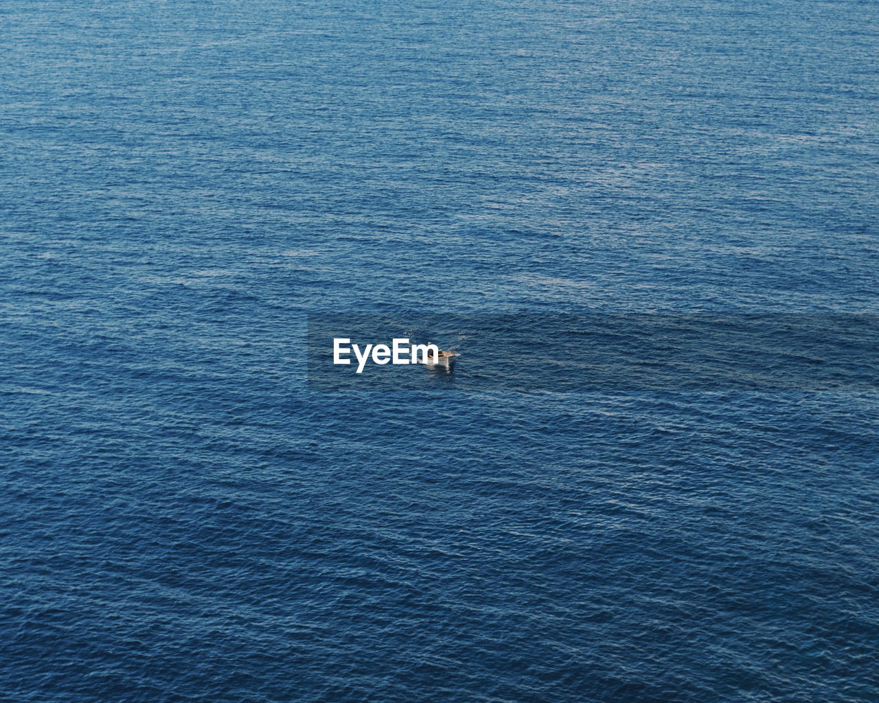 High angle view of man on boat sailing in sea