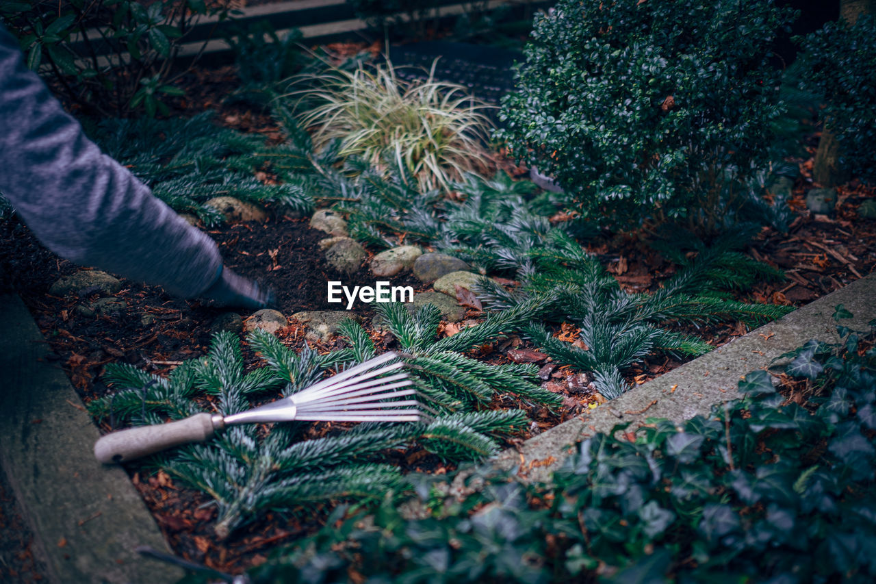 Cropped image of man working in yard