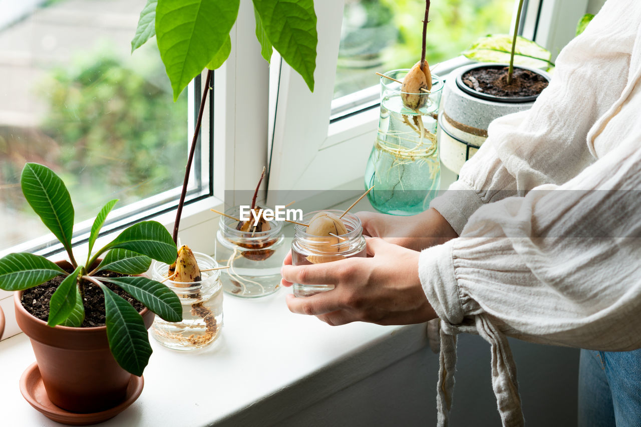 midsection of woman holding potted plant