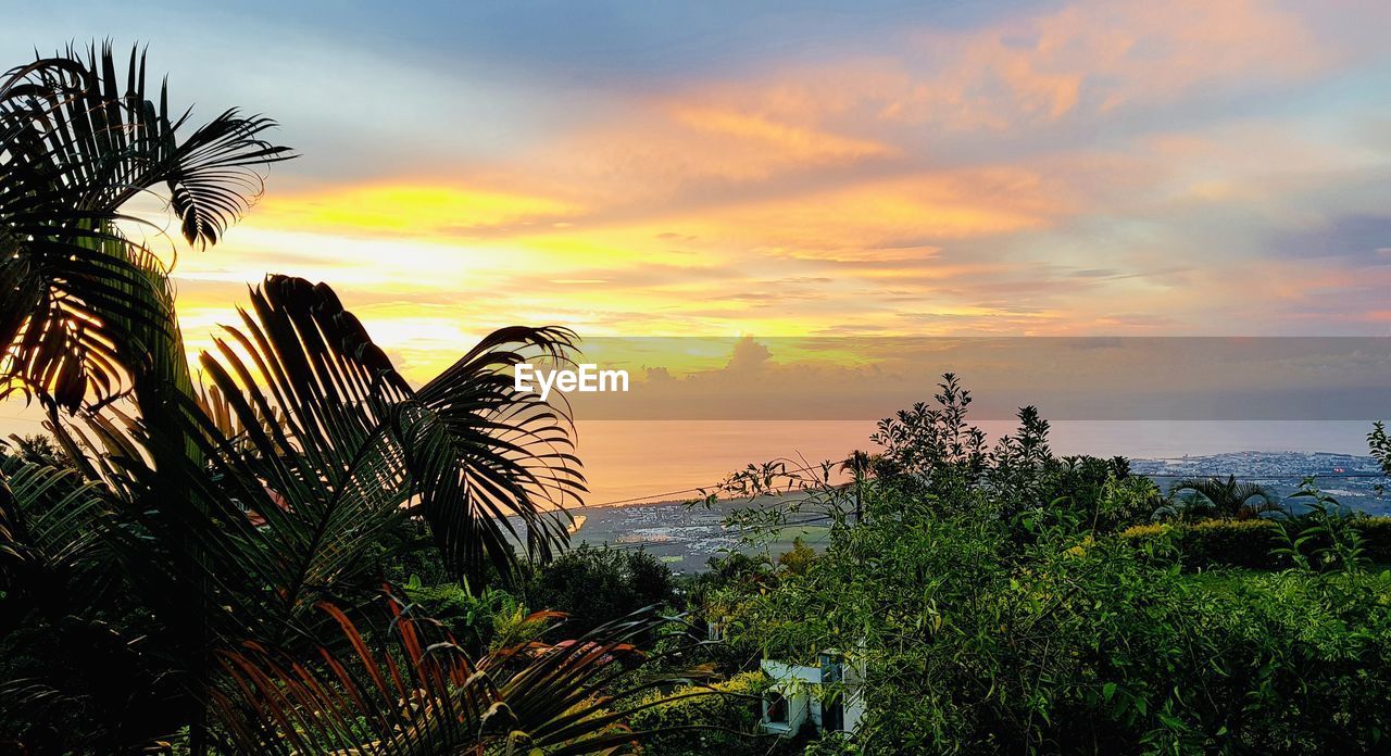 PALM TREES AGAINST SKY DURING SUNSET